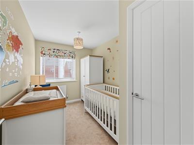 Picture 14
